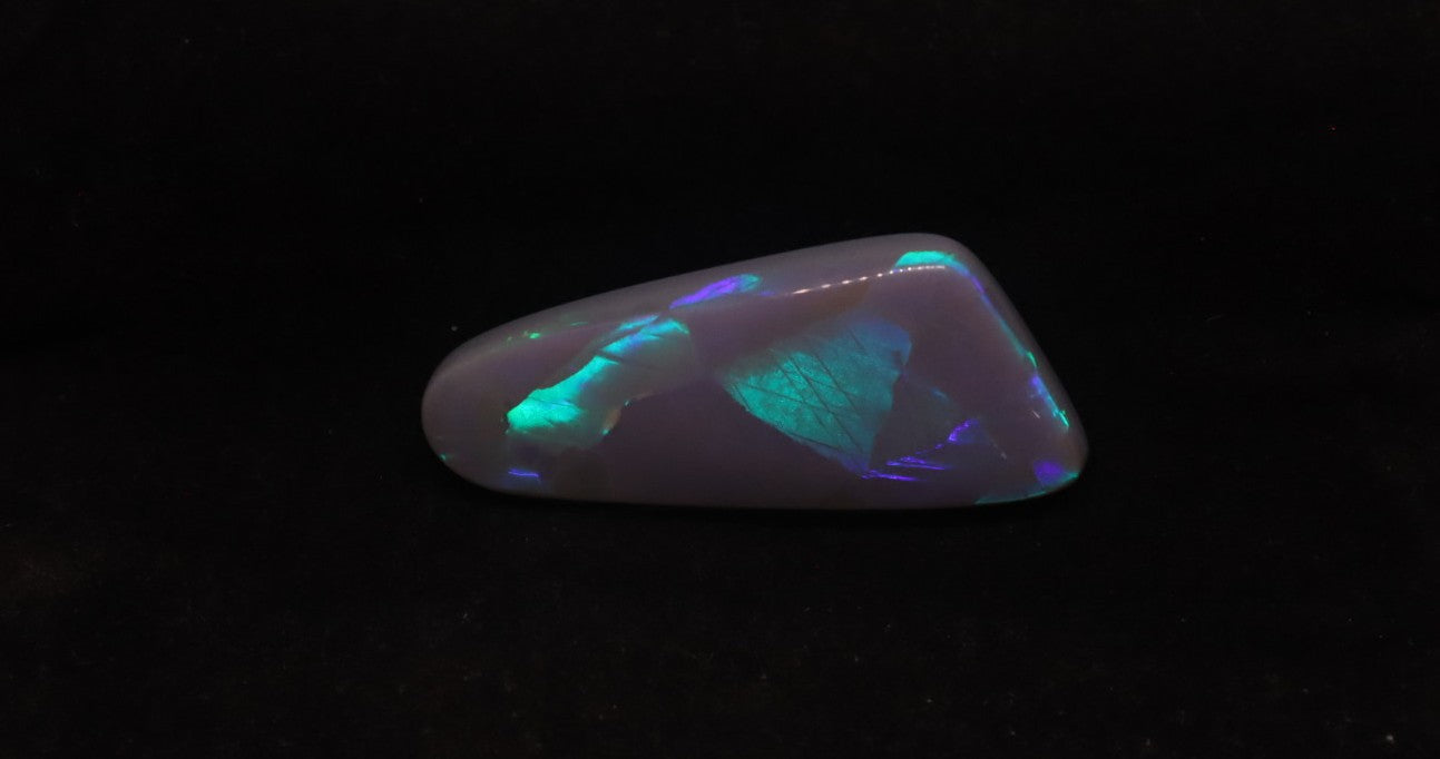 AUSTRALIAN OPAL - Ancient Creatures