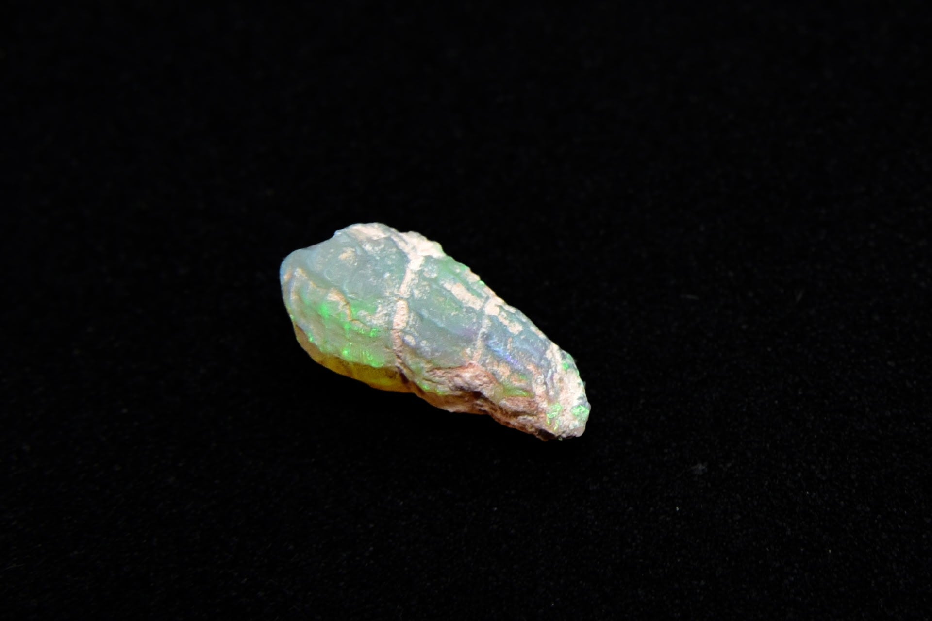 Green and Blue Lightning Ridge Opalized Whelk Fossil - 1.1 Carats, 12mm x 6mm - Ancient Creatures