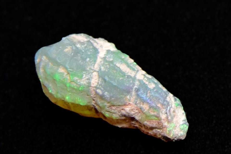 Green and Blue Lightning Ridge Opalized Whelk Fossil - 1.1 Carats, 12mm x 6mm - Ancient Creatures