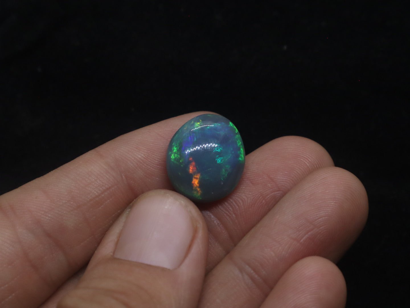 Lightning Ridge Natural Solid Dark Opal N5 - 16mm x 14mm 9.5 Carats - Ancient Creatures