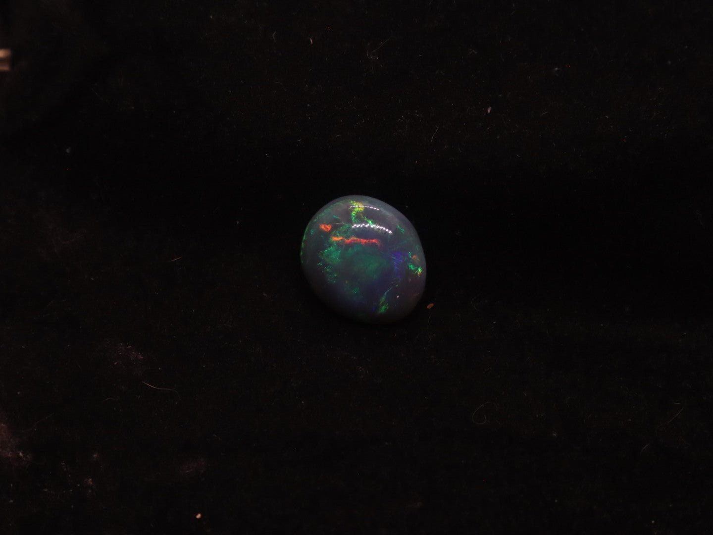 Lightning Ridge Natural Solid Dark Opal N5 - 16mm x 14mm 9.5 Carats - Ancient Creatures