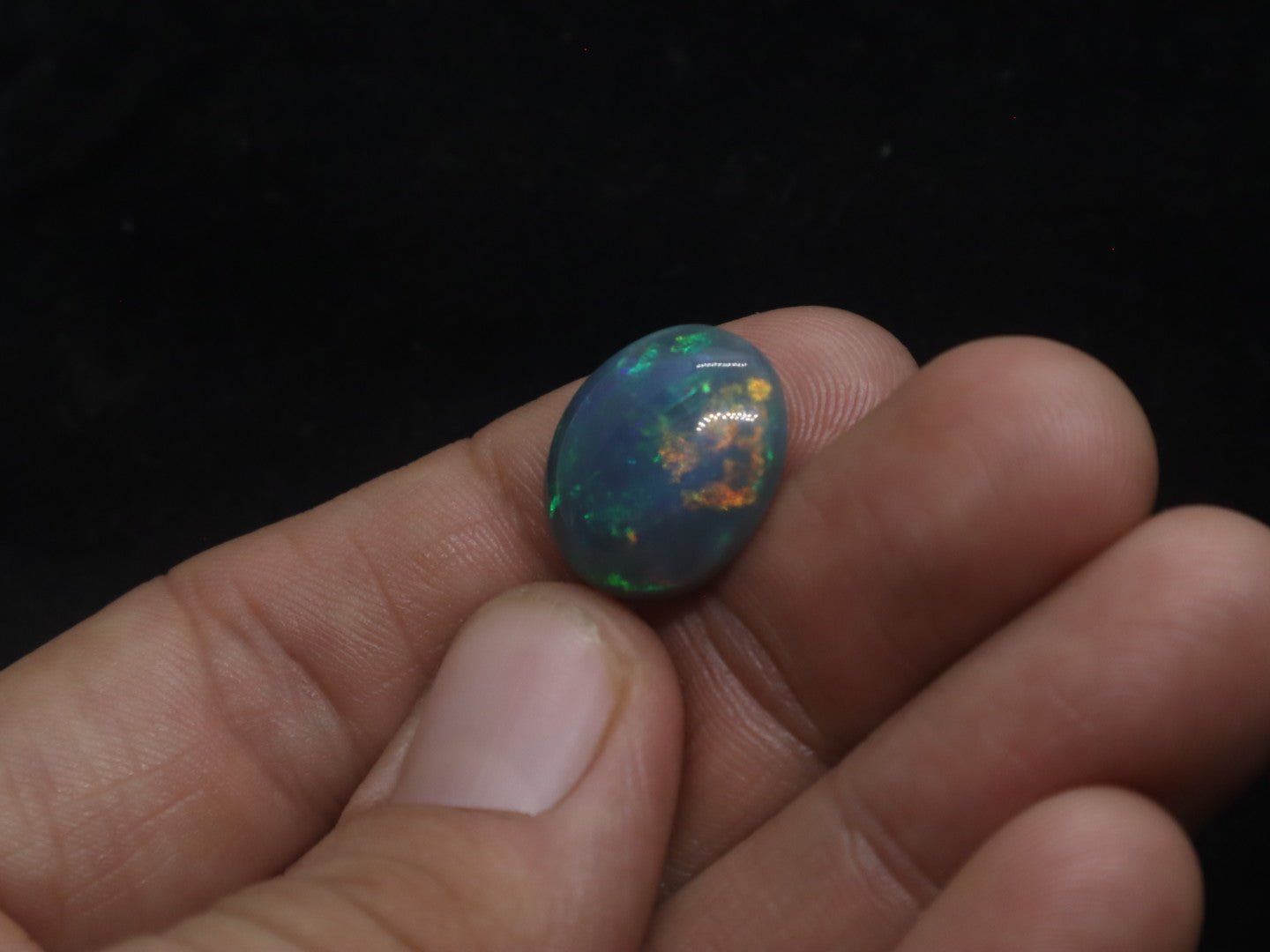Lightning Ridge Natural Solid Dark Opal N5 - 16mm x 14mm 9.5 Carats - Ancient Creatures