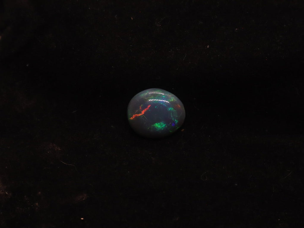 Lightning Ridge Natural Solid Dark Opal N5 - 16mm x 14mm 9.5 Carats - Ancient Creatures