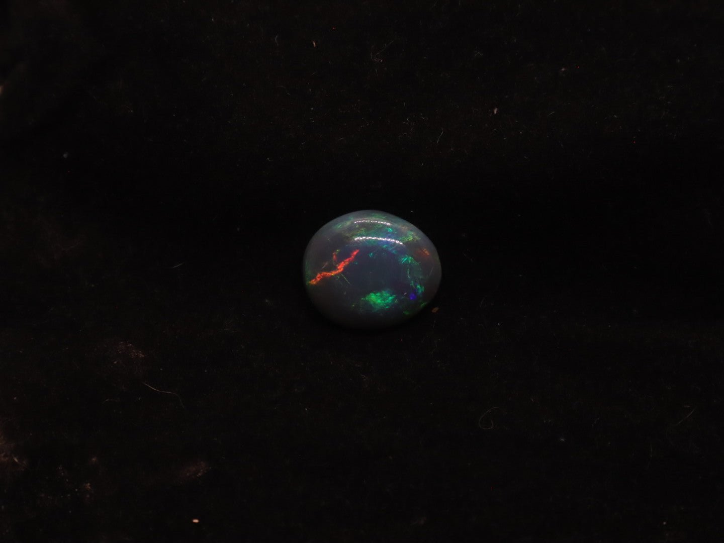 Lightning Ridge Natural Solid Dark Opal N5 - 16mm x 14mm 9.5 Carats - Ancient Creatures