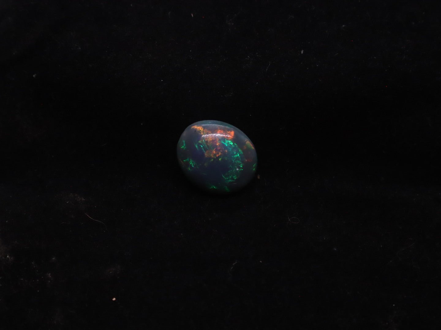 Lightning Ridge Natural Solid Dark Opal N5 - 16mm x 14mm 9.5 Carats - Ancient Creatures