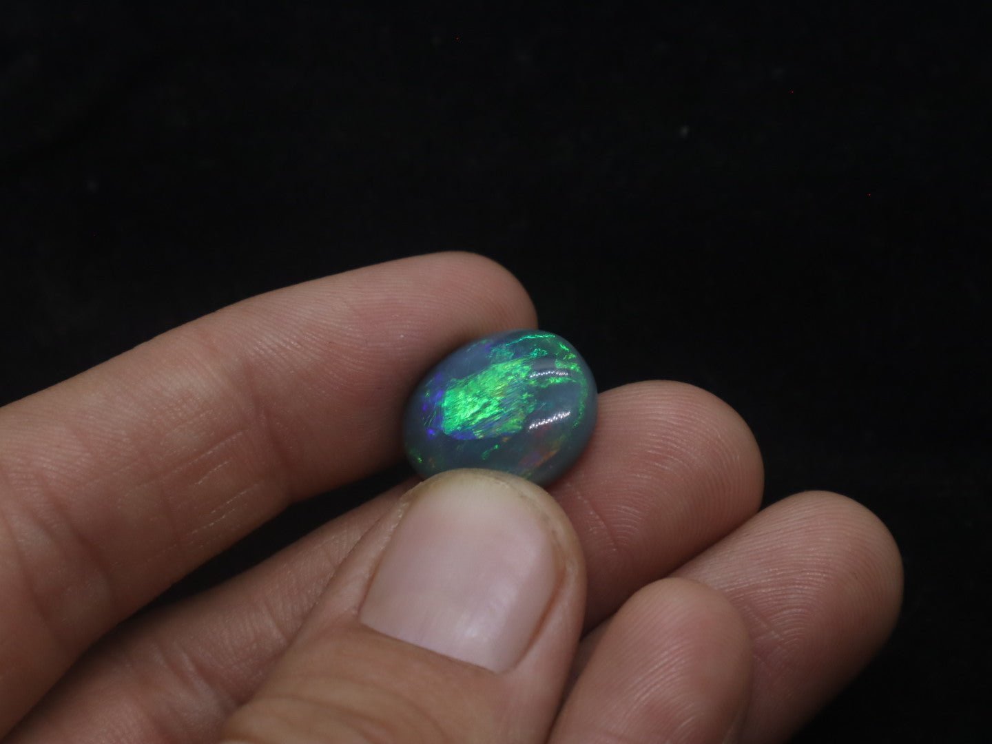 Lightning Ridge Natural Solid Dark Opal N5 - 16mm x 14mm 9.5 Carats - Ancient Creatures