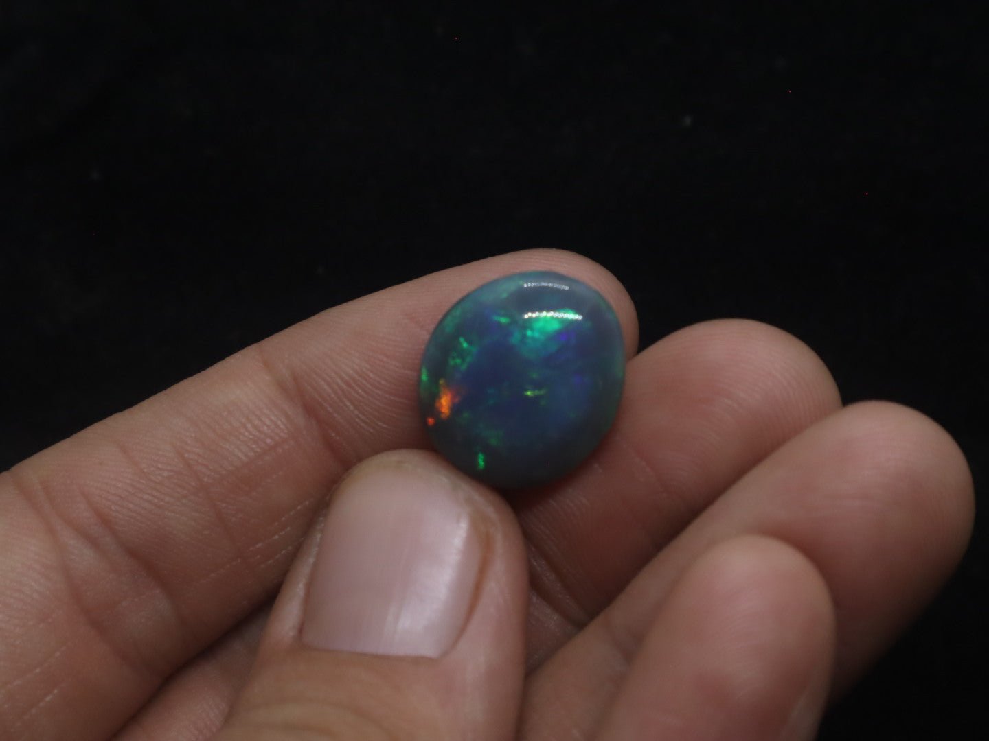 Lightning Ridge Natural Solid Dark Opal N5 - 16mm x 14mm 9.5 Carats - Ancient Creatures