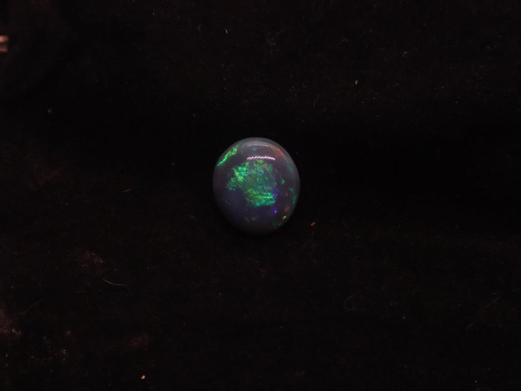 Lightning Ridge Natural Solid Dark Opal N5 - 16mm x 14mm 9.5 Carats - Ancient Creatures