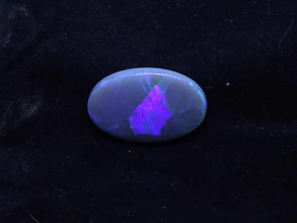Lightning Ridge Natural Solid Opal - N6 - 38.5 Carats, 34mm x 22mm - Ancient Creatures