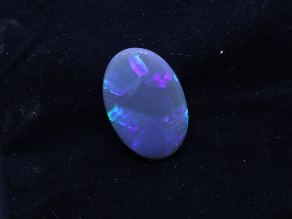 Lightning Ridge Natural Solid Opal - N6 - 38.5 Carats, 34mm x 22mm - Ancient Creatures