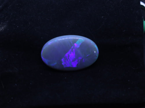 Lightning Ridge Natural Solid Opal - N6 - 38.5 Carats, 34mm x 22mm - Ancient Creatures