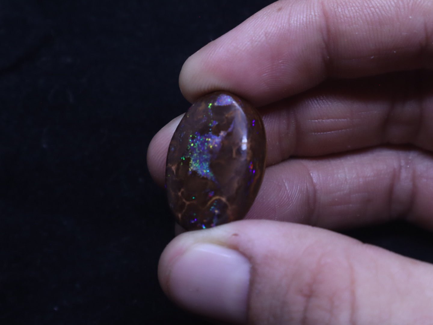 Multi - Colour Yowah Boulder Opal Oval Cabochon - 32.4 Carats, 20mm x 25mm - Ancient Creatures