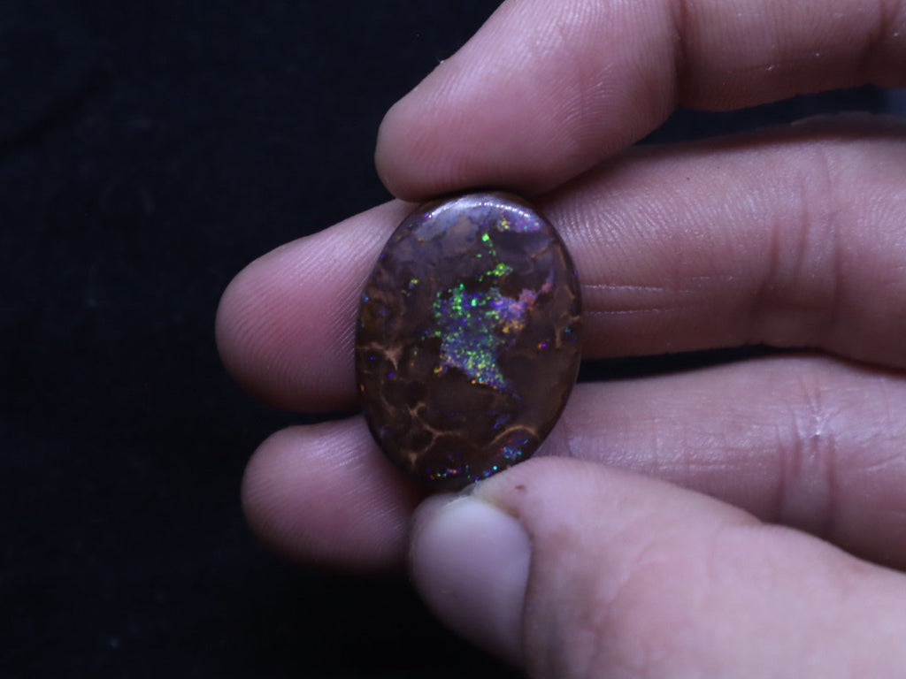 Multi - Colour Yowah Boulder Opal Oval Cabochon - 32.4 Carats, 20mm x 25mm - Ancient Creatures