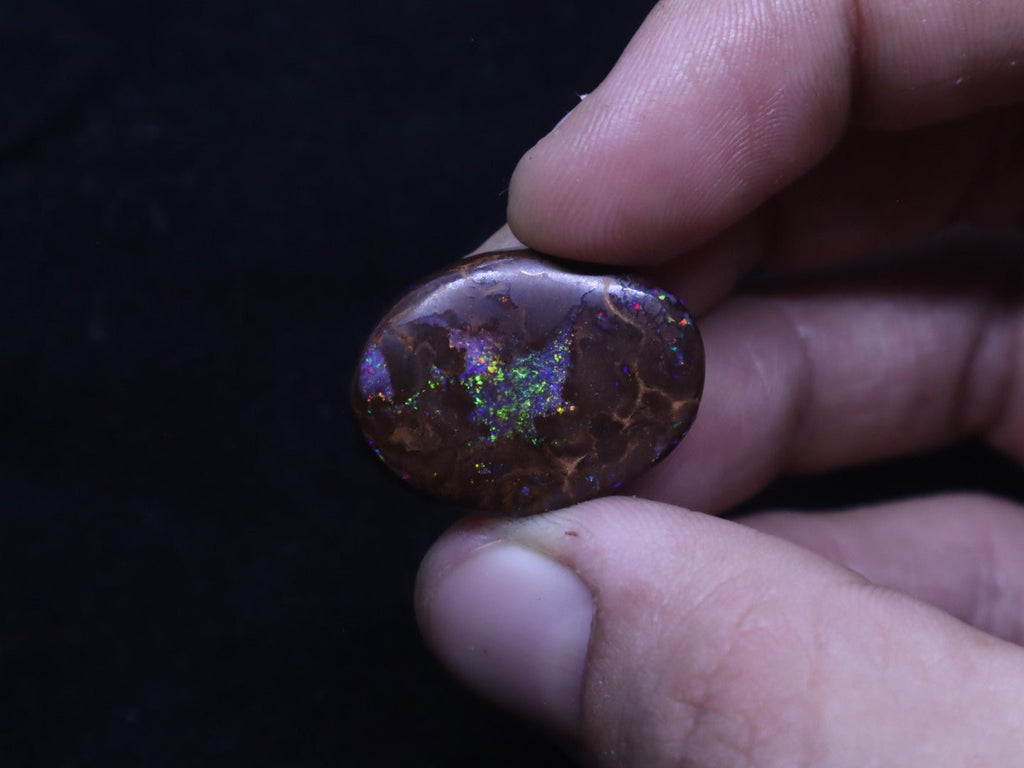 Multi - Colour Yowah Boulder Opal Oval Cabochon - 32.4 Carats, 20mm x 25mm - Ancient Creatures