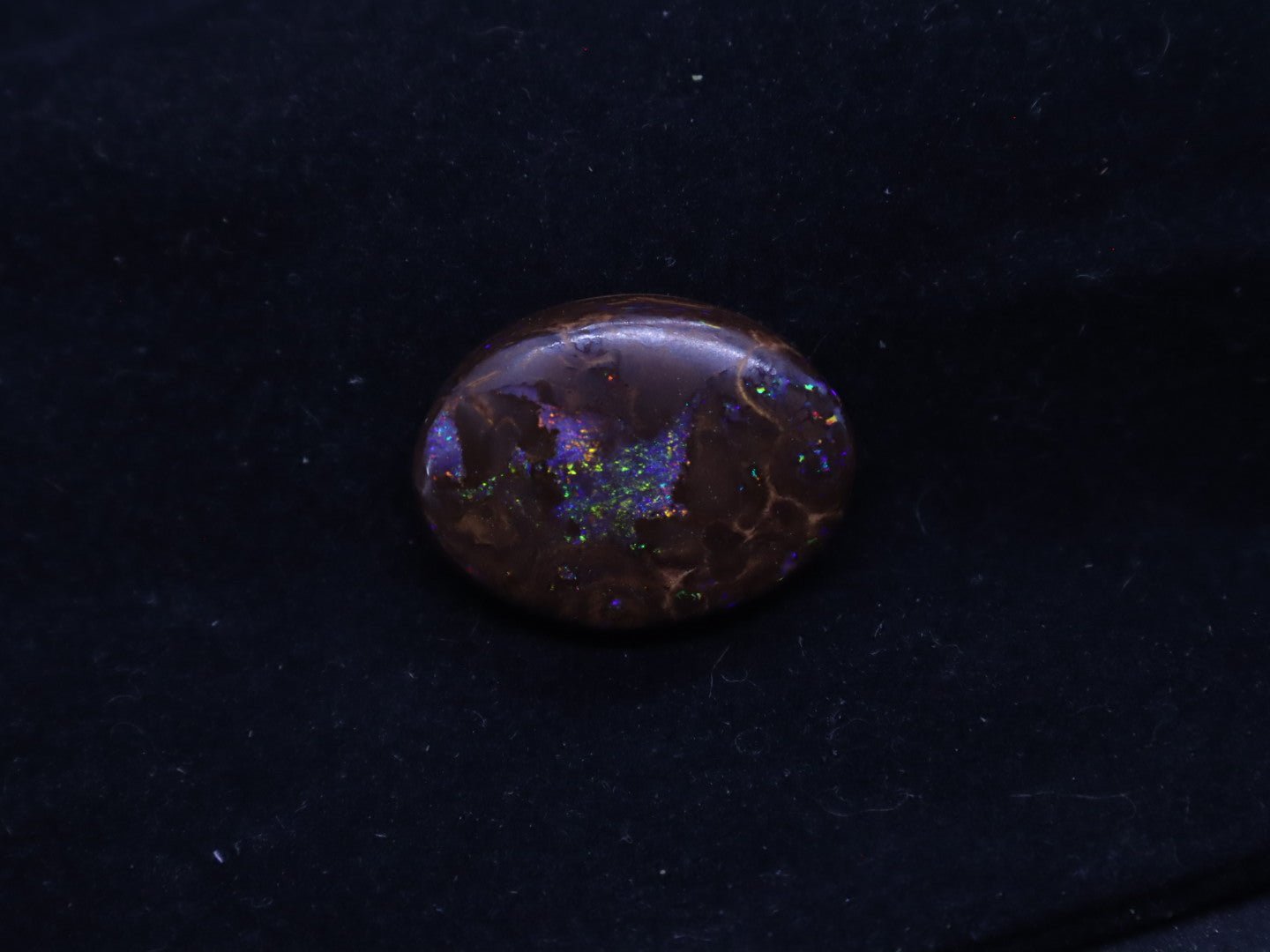 Multi - Colour Yowah Boulder Opal Oval Cabochon - 32.4 Carats, 20mm x 25mm - Ancient Creatures