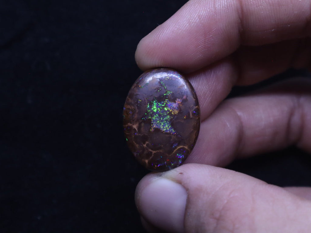 Multi - Colour Yowah Boulder Opal Oval Cabochon - 32.4 Carats, 20mm x 25mm - Ancient Creatures