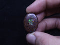 Multi - Colour Yowah Boulder Opal Oval Cabochon - 32.4 Carats, 20mm x 25mm - Ancient Creatures