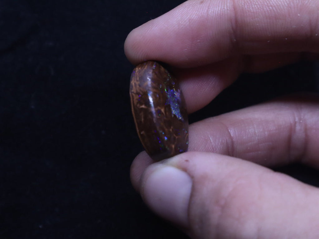 Multi - Colour Yowah Boulder Opal Oval Cabochon - 32.4 Carats, 20mm x 25mm - Ancient Creatures