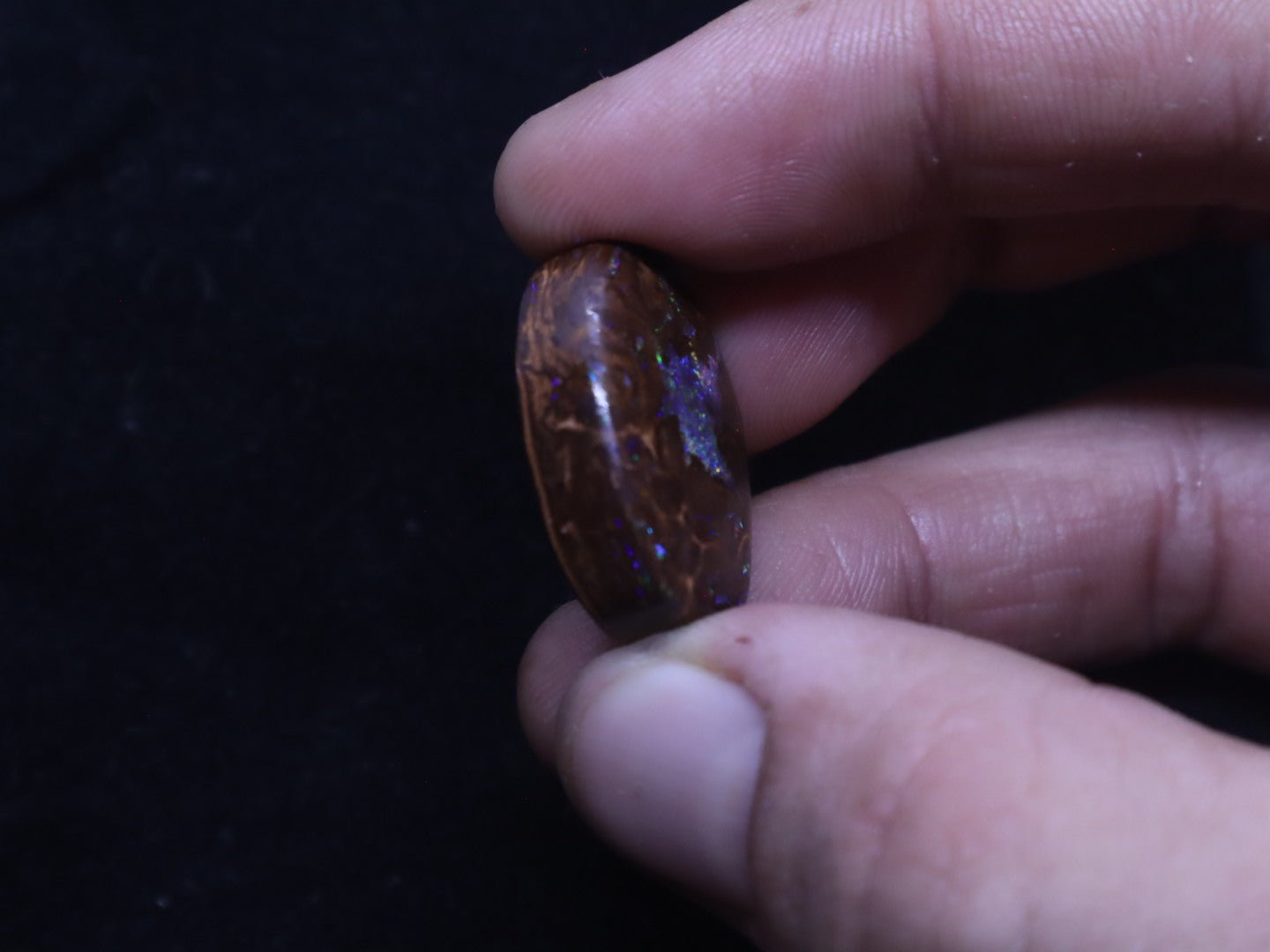 Multi - Colour Yowah Boulder Opal Oval Cabochon - 32.4 Carats, 20mm x 25mm - Ancient Creatures