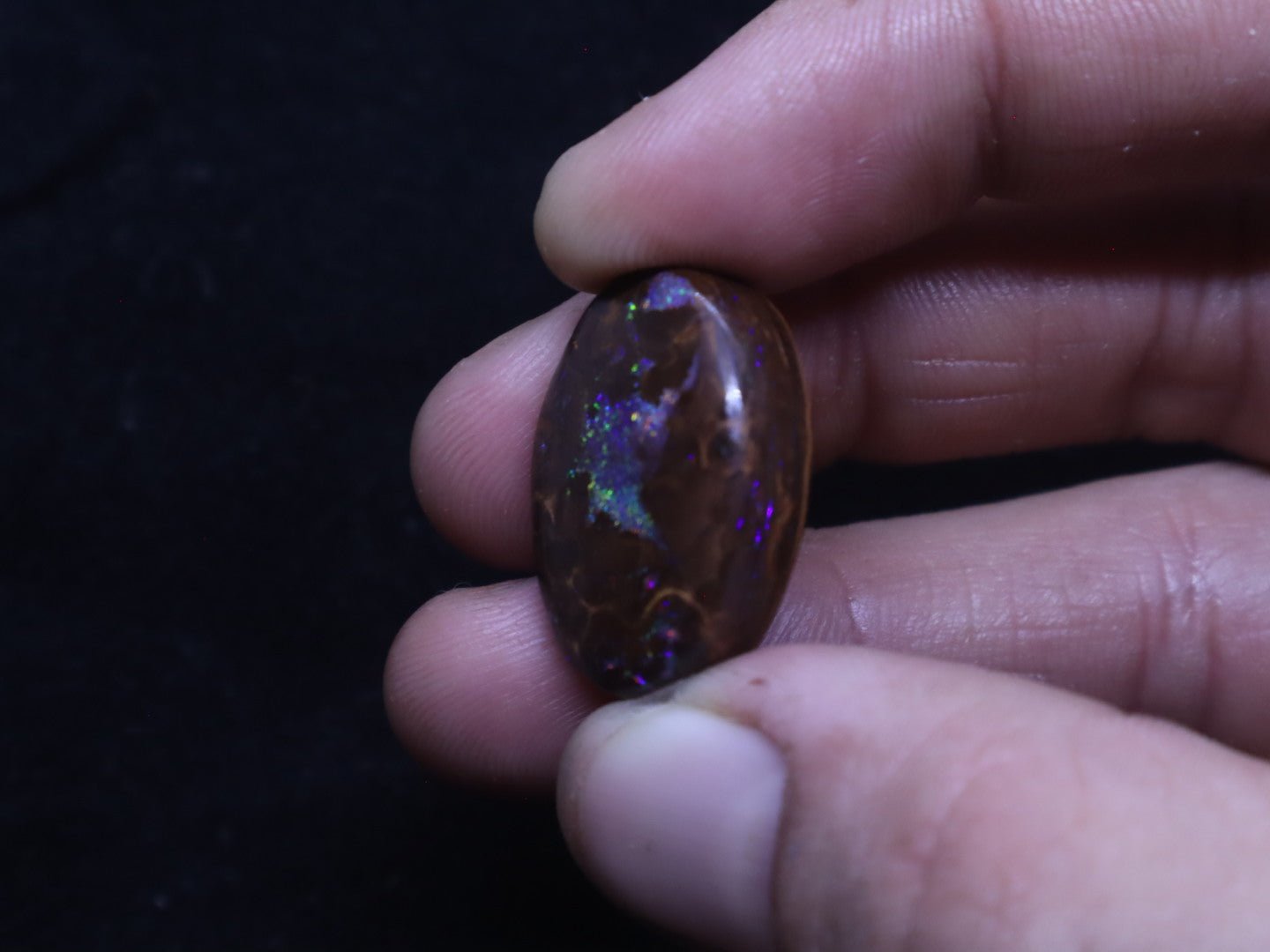 Multi - Colour Yowah Boulder Opal Oval Cabochon - 32.4 Carats, 20mm x 25mm - Ancient Creatures