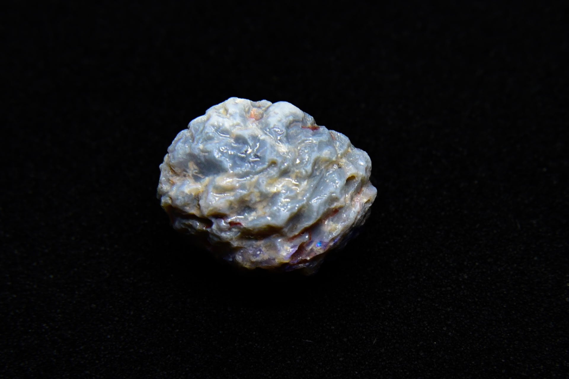 Purple and Dark Opal Lightning Ridge Opalized Pinecone - 4.6 Carats, 12mm x 10mm - Ancient Creatures