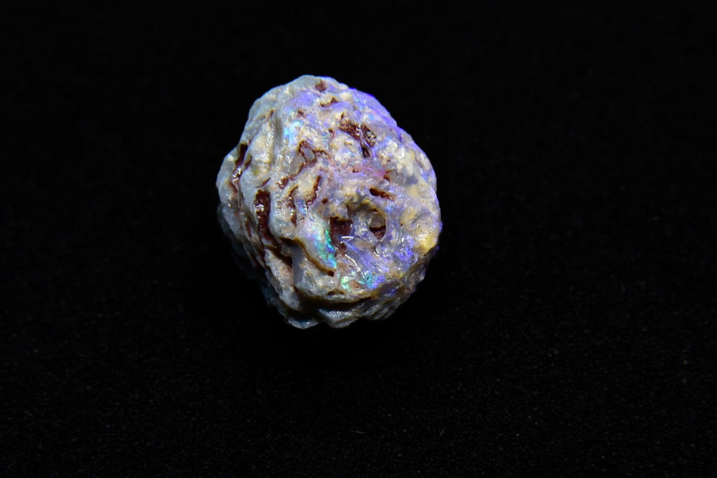 Purple and Dark Opal Lightning Ridge Opalized Pinecone - 4.6 Carats, 12mm x 10mm - Ancient Creatures